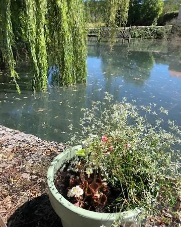Le Moulin De La Forge מלון *